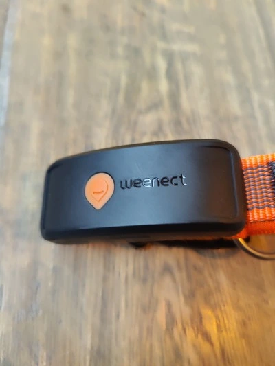 Weenect XT hond bovenkant tracker (GPSExperts.nl test)